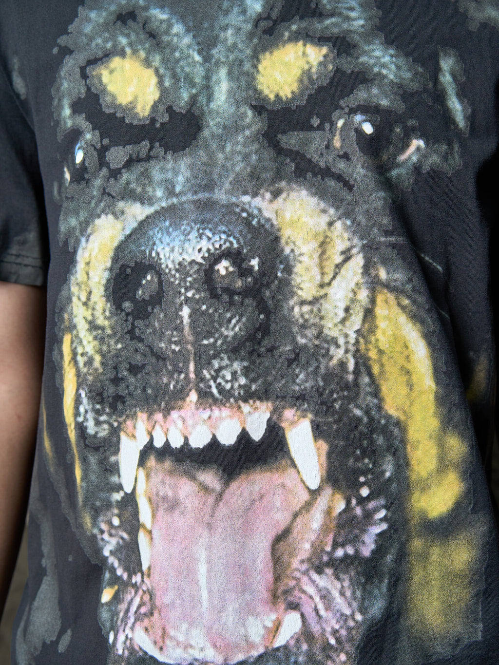 Givenchy Rottweiler Tee