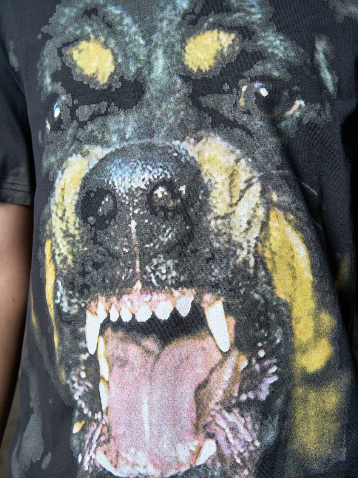 Givenchy Rottweiler Tee