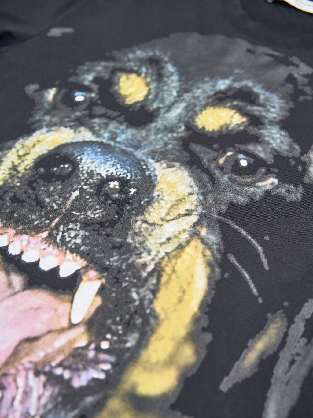 Givenchy Rottweiler Tee